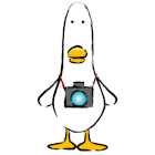 Avatar de Usuario