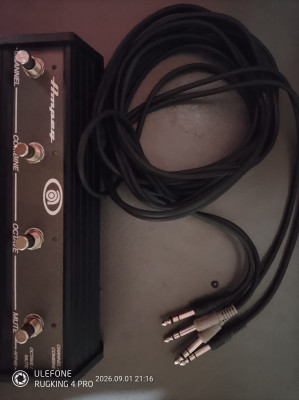 Pedal Ampeg.jpeg