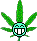 Torch :weed: